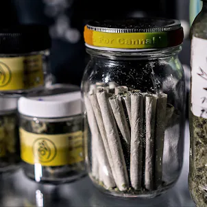 Photo of How To Open a Dispensary Certification Program